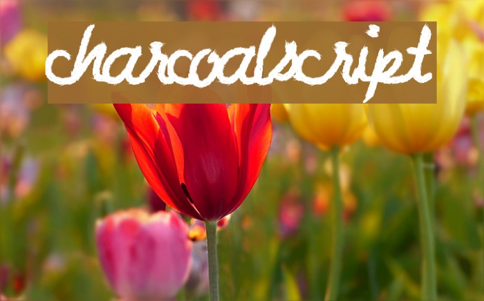 CharcoalScript Font examples