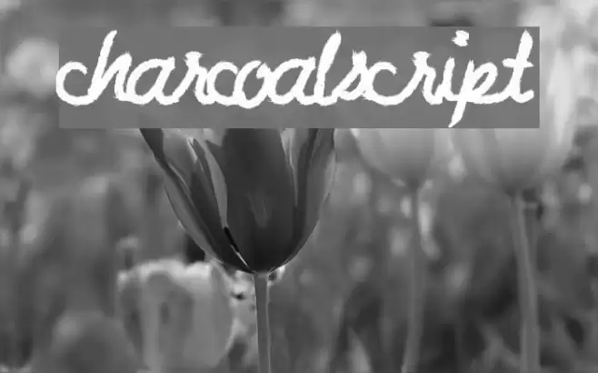 CharcoalScript Fonte examples