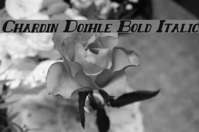 Chardin Doihle Bold Italic Fonte examples