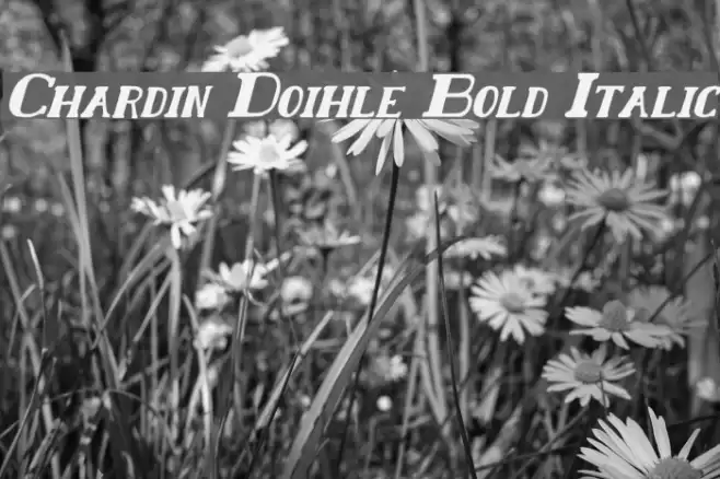 Chardin Doihle Bold Italic Fonte examples