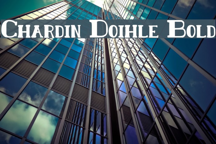 Chardin Doihle Bold Font examples