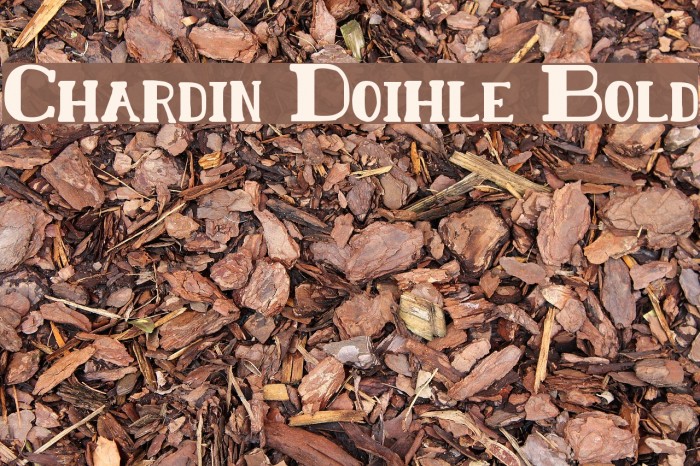 Chardin Doihle Bold Font examples