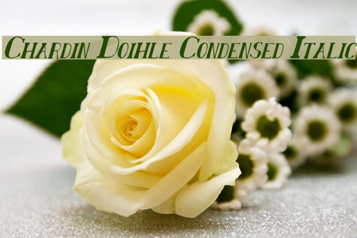 Chardin Doihle Condensed Italic Font examples