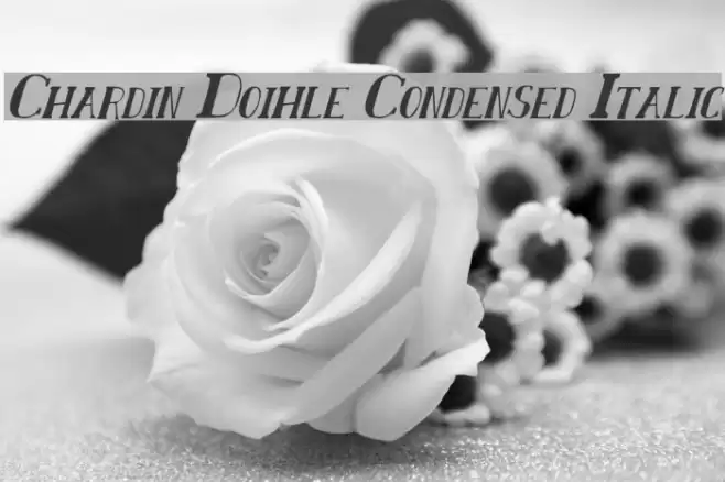 Chardin Doihle Condensed Italic Fuentes examples