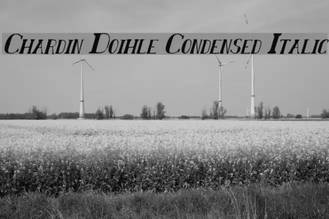 Chardin Doihle Condensed Italic Fuentes examples