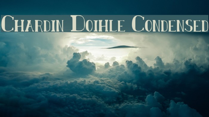 Chardin Doihle Condensed Font examples
