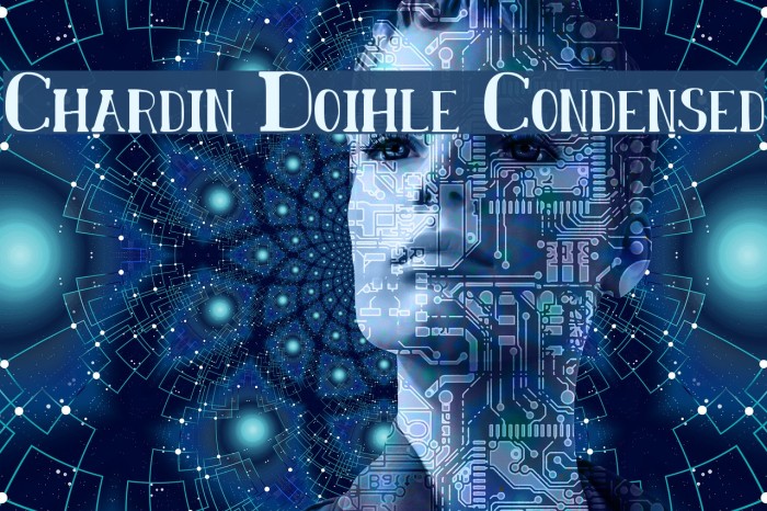 Chardin Doihle Condensed Font examples
