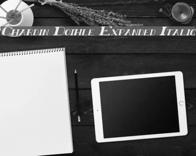 Chardin Doihle Expanded Italic Fuentes examples