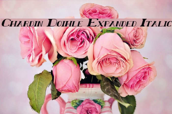 Chardin Doihle Expanded Italic Font examples