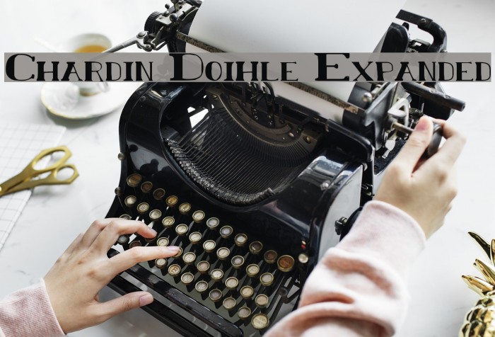 Chardin Doihle Expanded Font examples