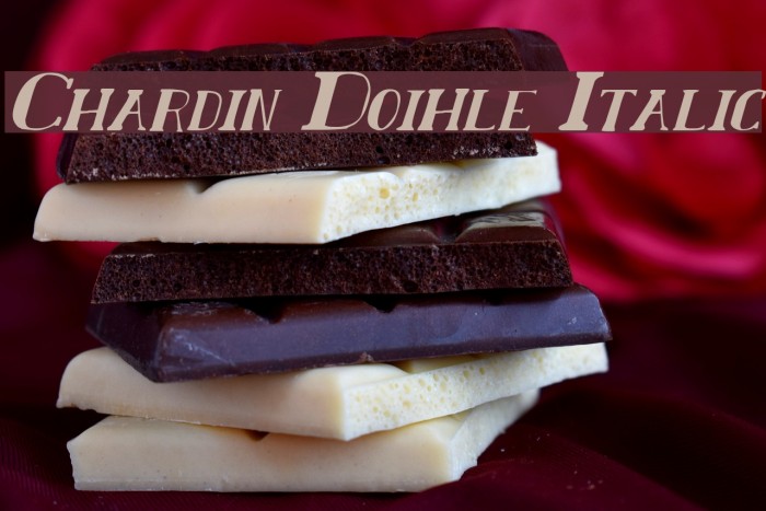 Chardin Doihle Italic Font examples