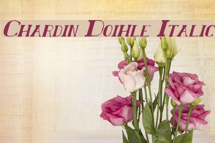 Chardin Doihle Italic Font examples