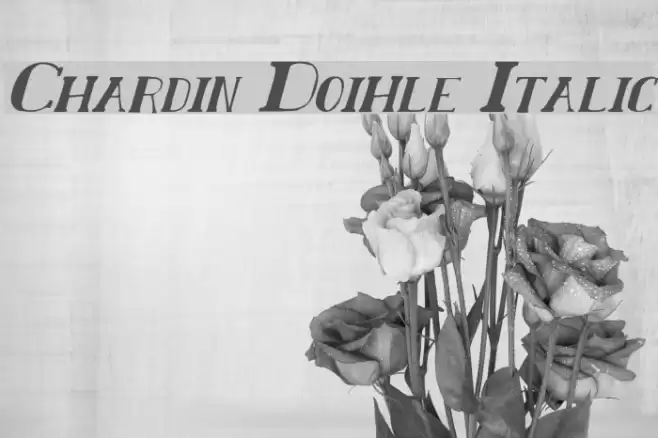 Chardin Doihle Italic Fuentes examples