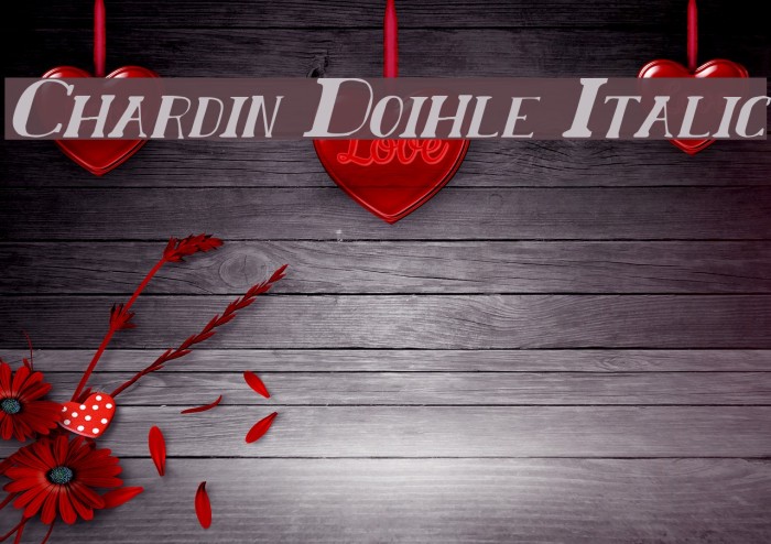 Chardin Doihle Italic Font examples