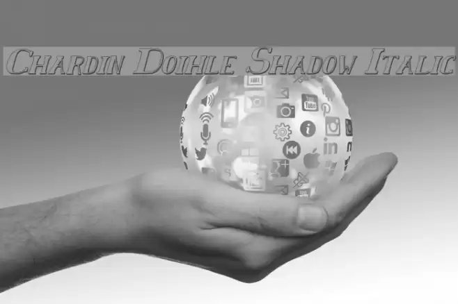 Chardin Doihle Shadow Italic Fuentes examples
