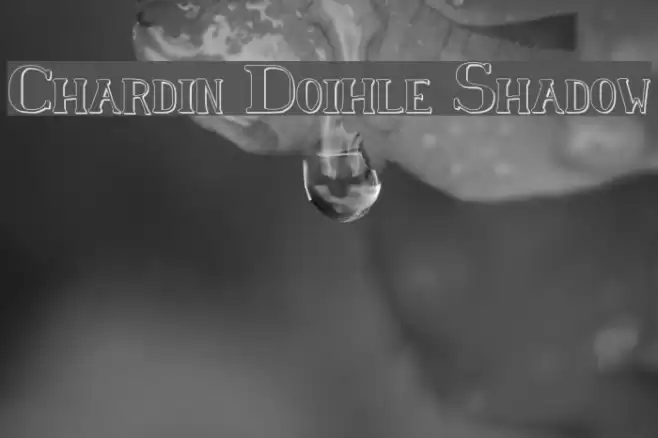 Chardin Doihle Shadow Polices examples