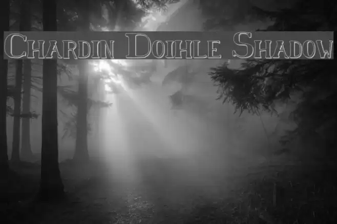 Chardin Doihle Shadow Polices examples