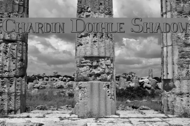 Chardin Doihle Shadow Polices examples