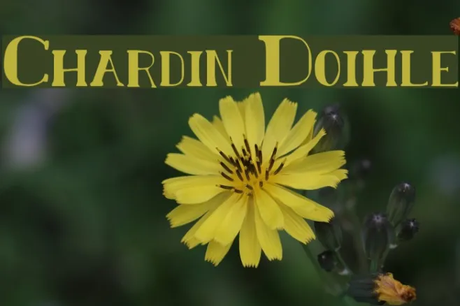 Chardin Doihle Example 1
