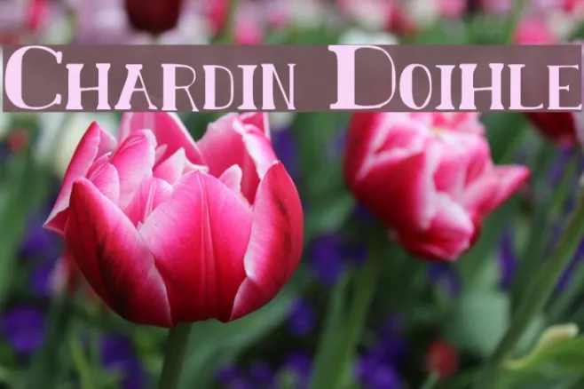 Chardin Doihle Example 2