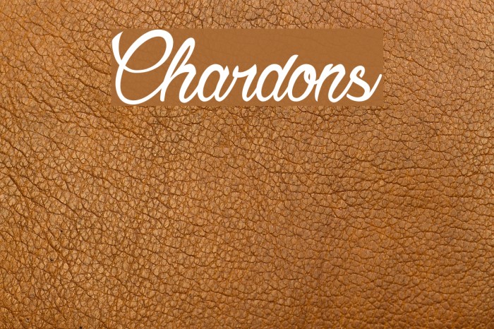 Chardons Font examples