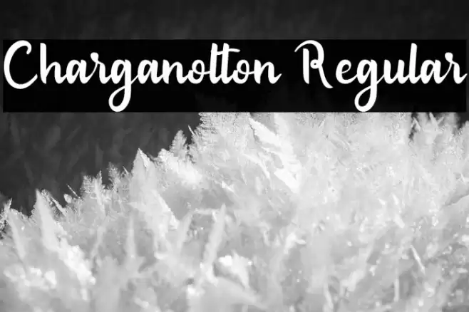 Charganolton Regular Polices examples