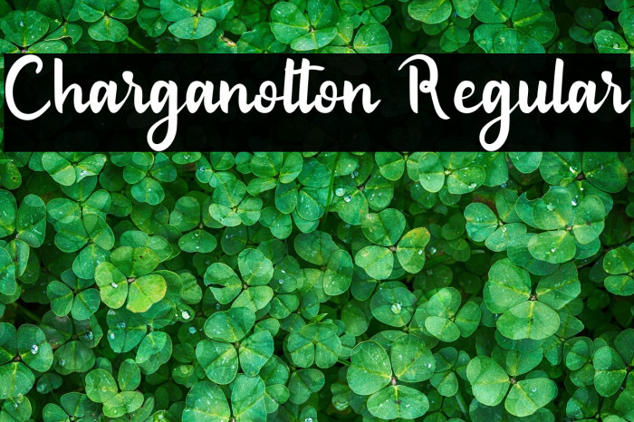 Charganolton Regular Example 3