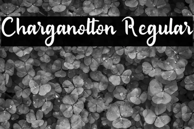 Charganolton Regular Polices examples