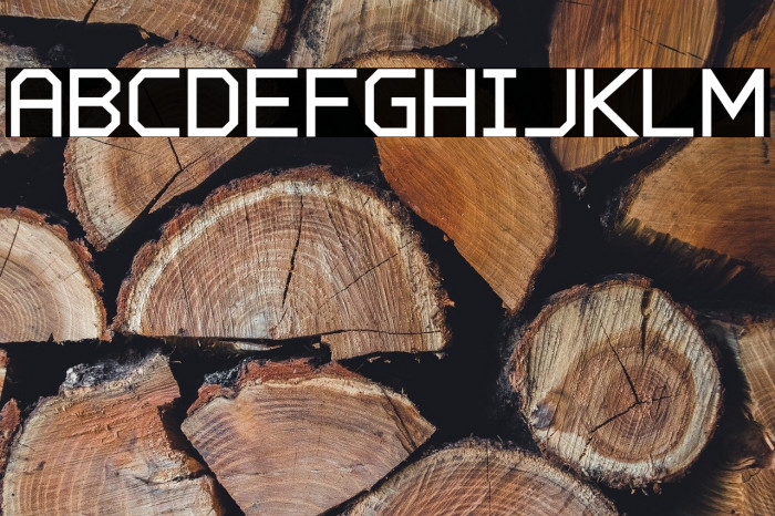 Charge Vector Bold Example 2