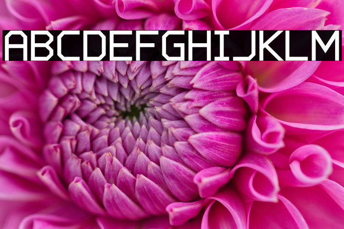 Charge Vector Bold Example 3