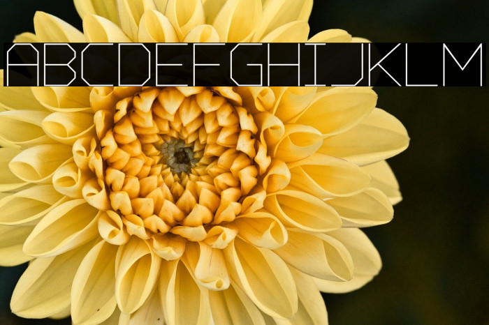 Charge Vector Thin Example 2