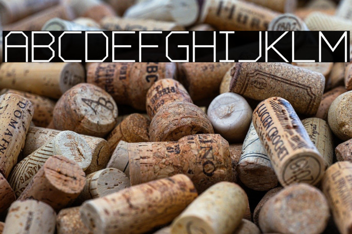 Charge Vector Example 3