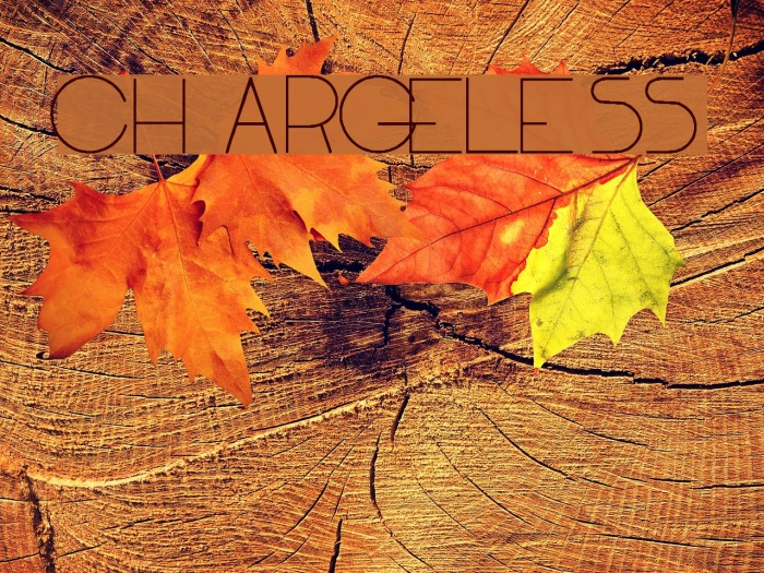 ChargeleSS Font examples