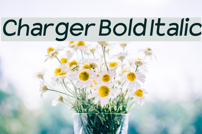 Charger Bold Italic Font examples