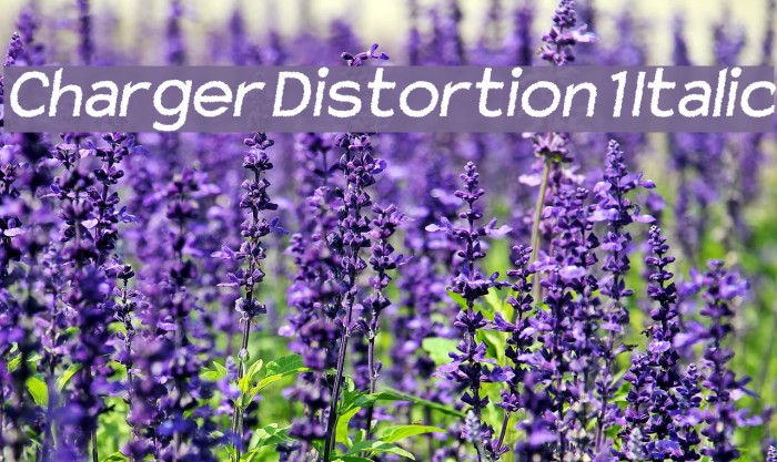Charger Distortion 1 Italic Font examples