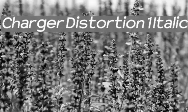 Charger Distortion 1 Italic Fuentes examples