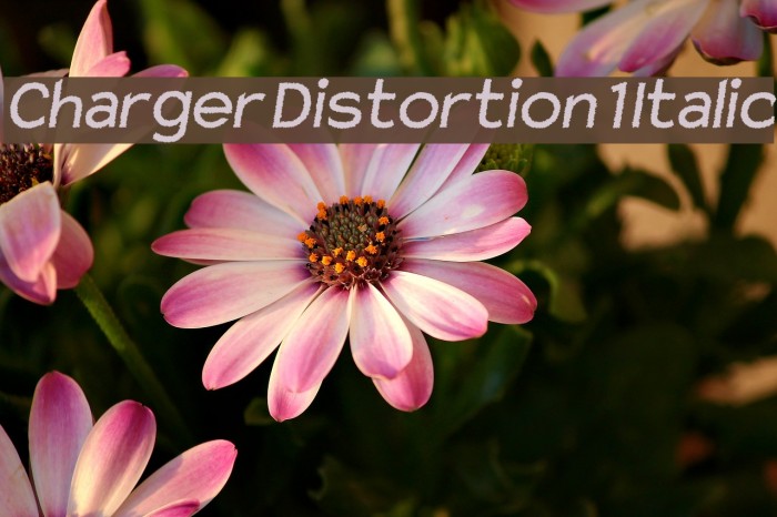 Charger Distortion 1 Italic Font examples