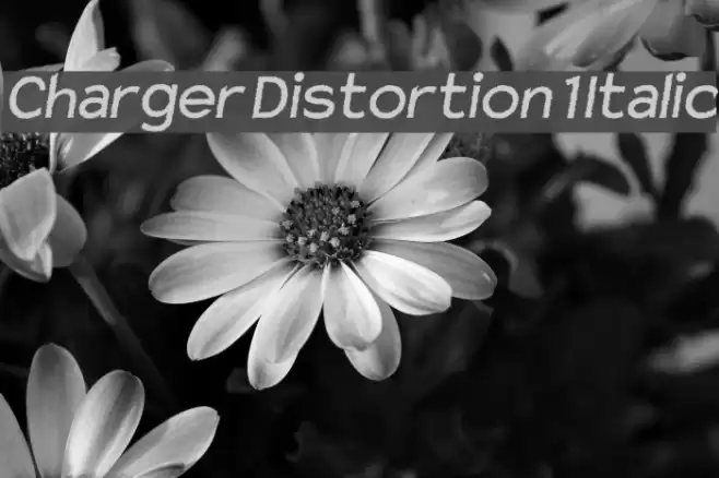Charger Distortion 1 Italic Fuentes examples