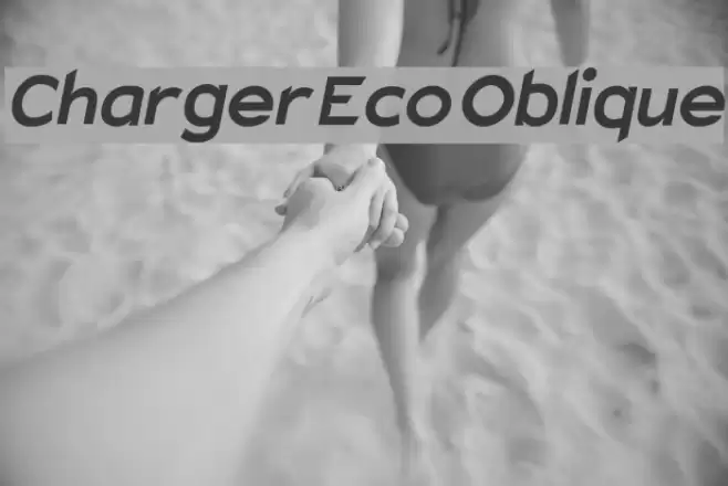 Charger Eco Oblique  examples