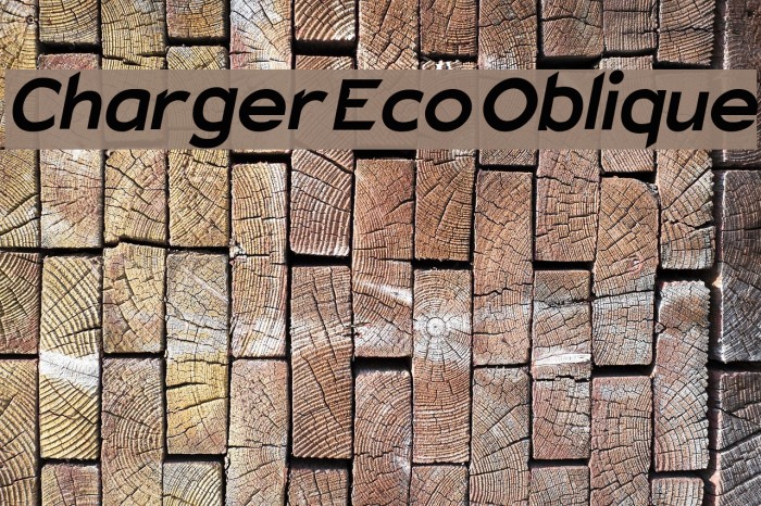 Charger Eco Oblique フォント examples