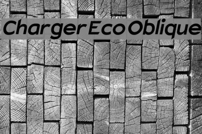 Charger Eco Oblique  examples