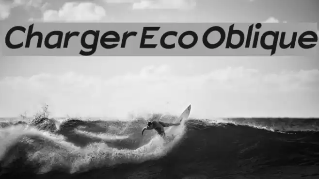 Charger Eco Oblique  examples