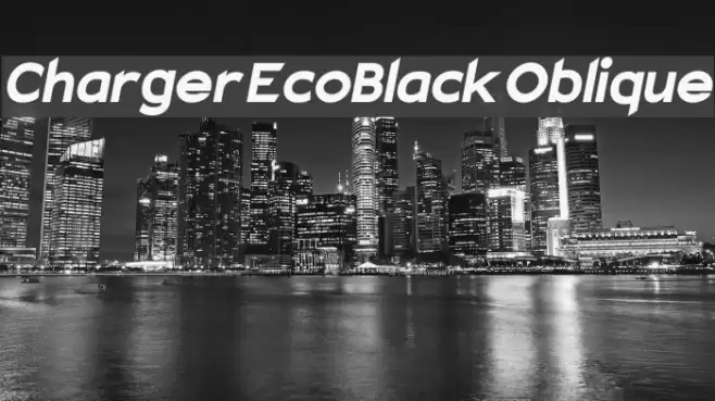 Charger EcoBlack Oblique  examples