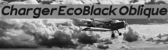 Charger EcoBlack Oblique  examples