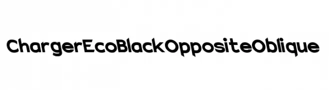 Charger EcoBlack Opposite Oblique 