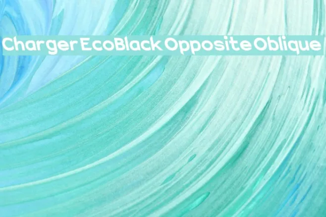 Charger EcoBlack Opposite Oblique Example 2