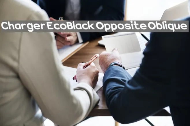 Charger EcoBlack Opposite Oblique Example 3
