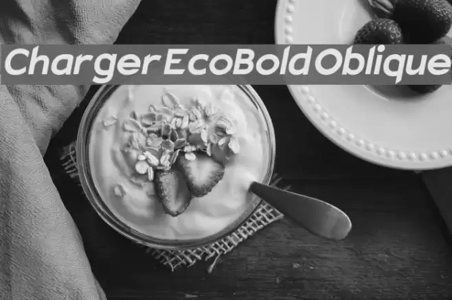 Charger EcoBold Oblique examples