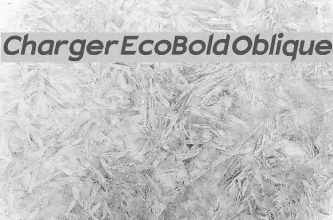Charger EcoBold Oblique examples