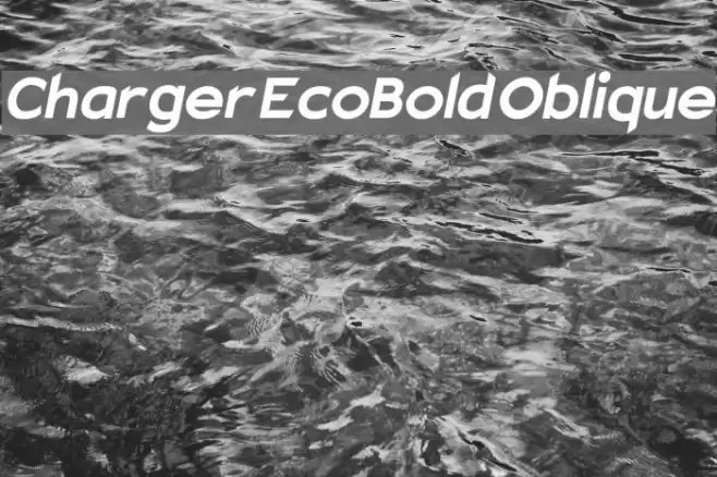 Charger EcoBold Oblique examples